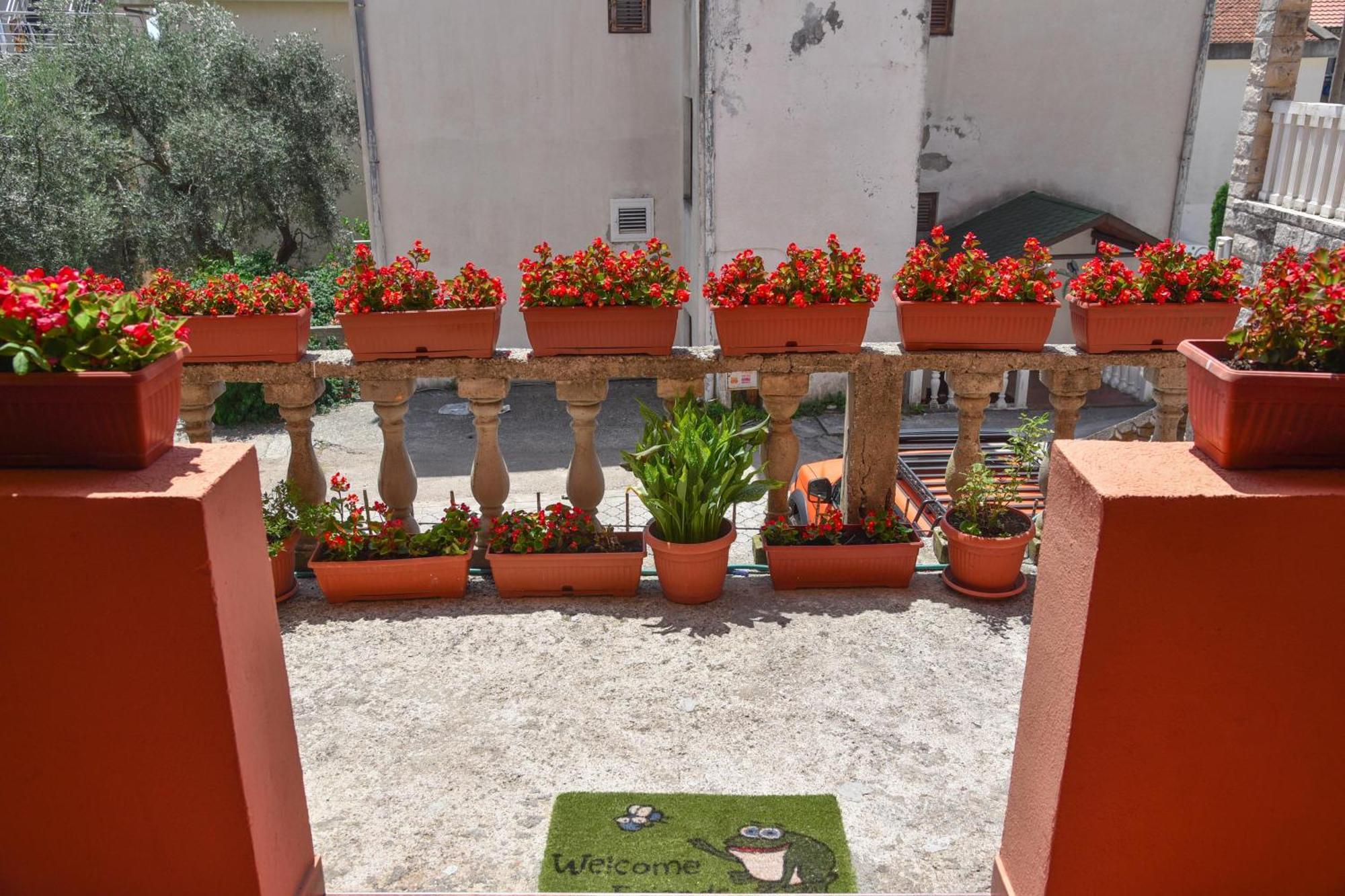 Vila Apartments Lidija Petrovac ภายนอก รูปภาพ