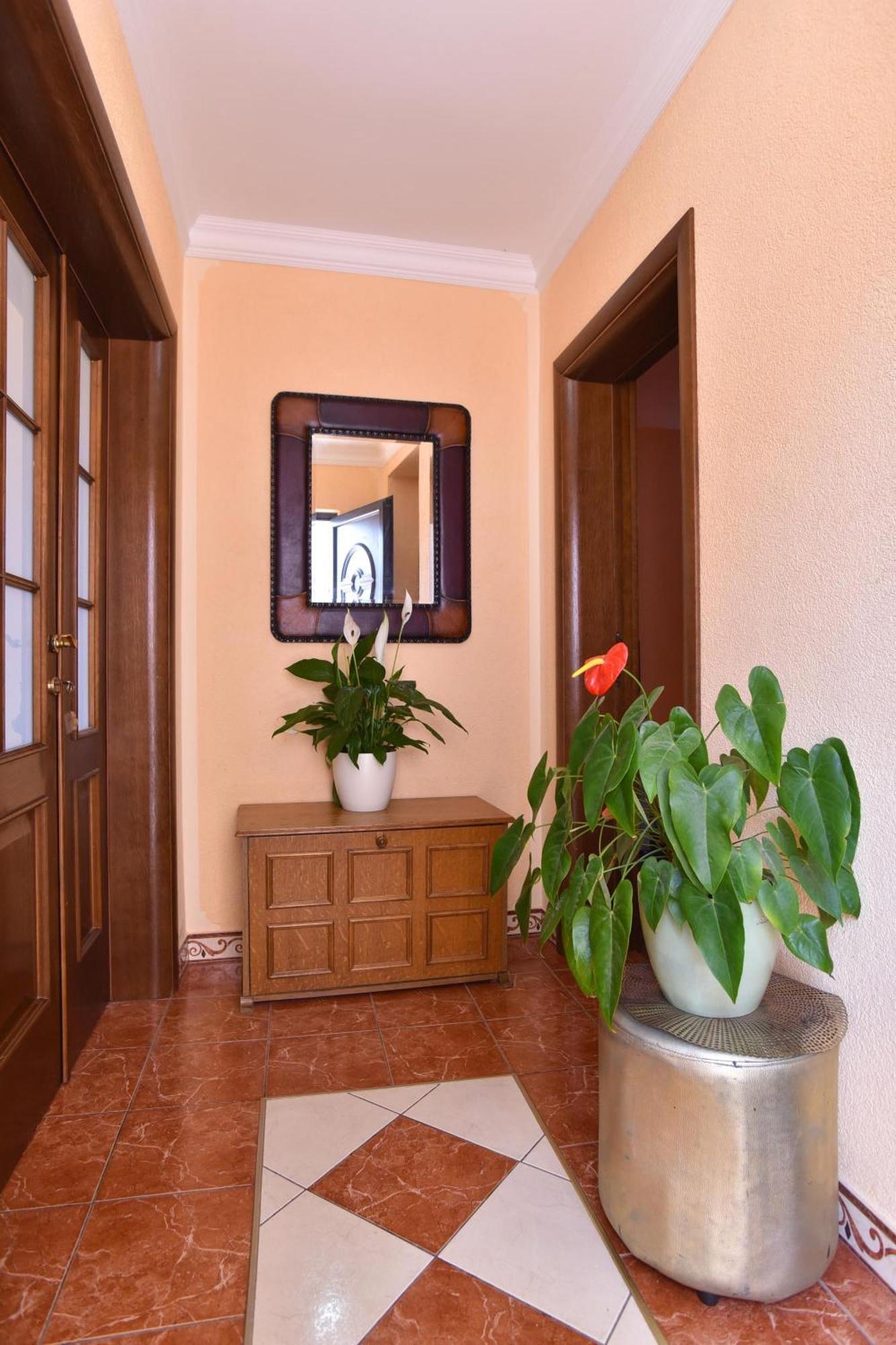 Vila Apartments Lidija Petrovac ภายนอก รูปภาพ