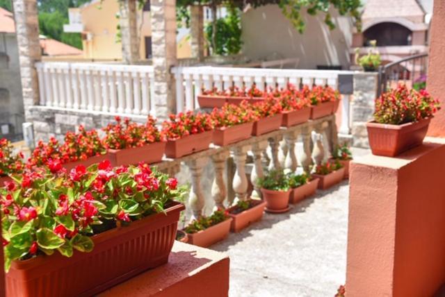 Vila Apartments Lidija Petrovac ภายนอก รูปภาพ